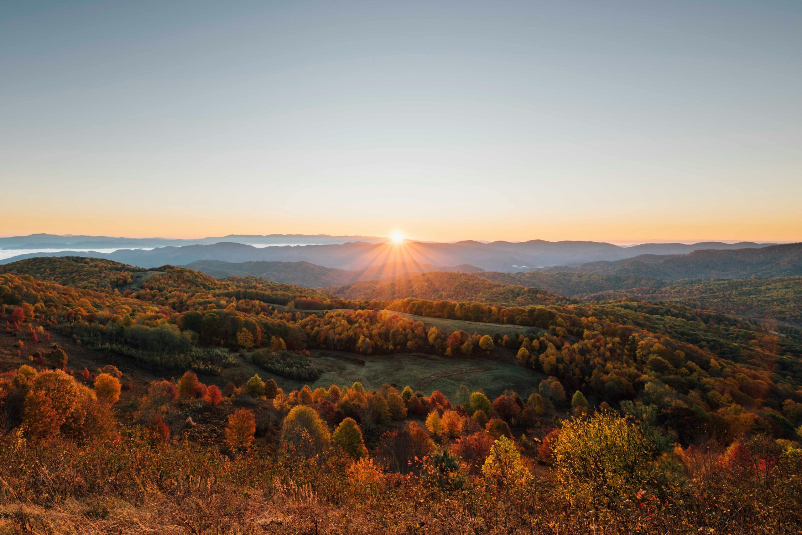 pexels daryl johnson 165513825 13731859